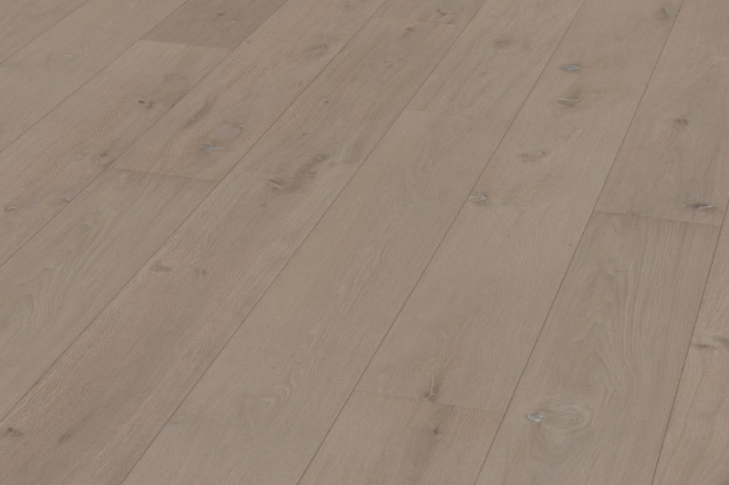 Hrast Sherwood Forest Z02a